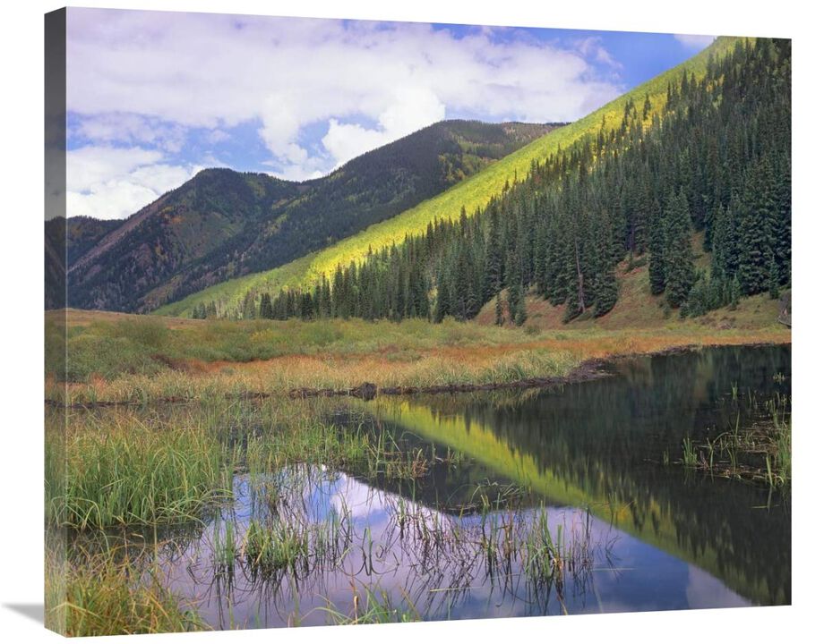 Pond and mountains, Maroon Bells-Snowmass Wilderness Area, Colorado-Canvas Art-30x24.9