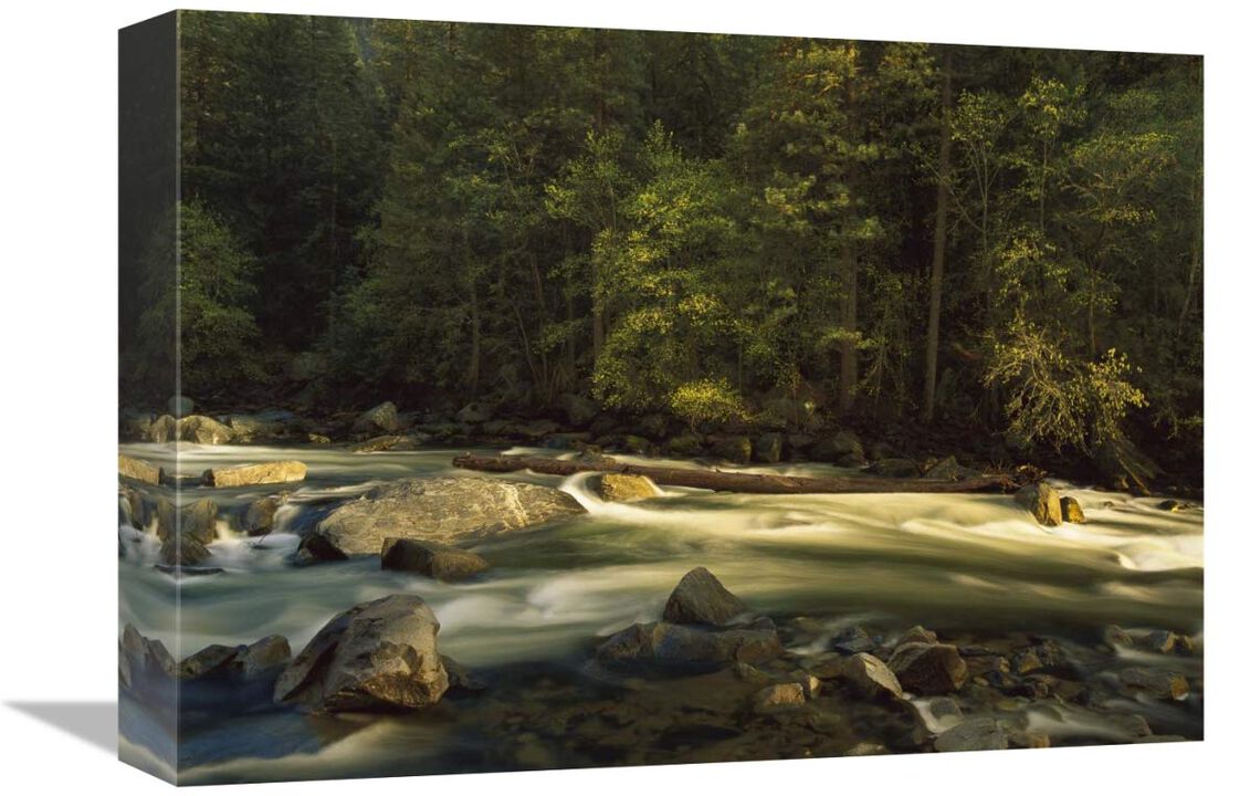 Merced River flowing through the valley floor, Yosemite National Park, California-Canvas Art-16x12
