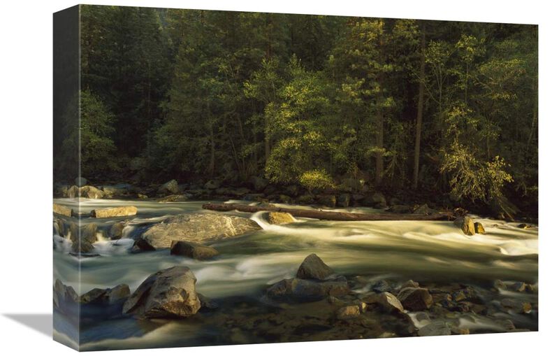 Merced River flowing through the valley floor, Yosemite National Park, California-Canvas Art-16x12