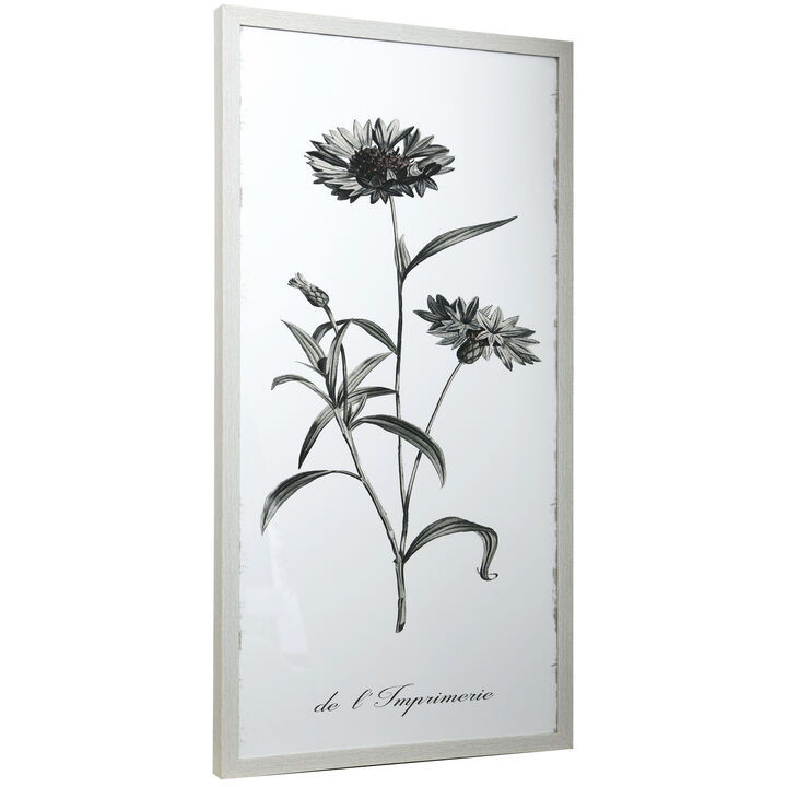 Framed Print Under Glass