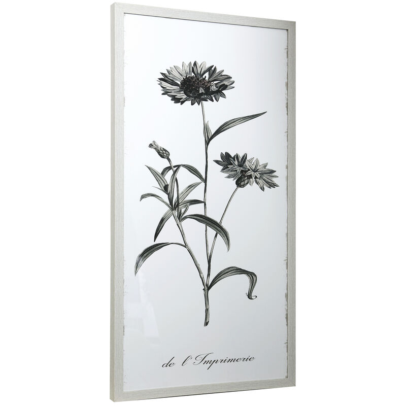 Framed Print Under Glass