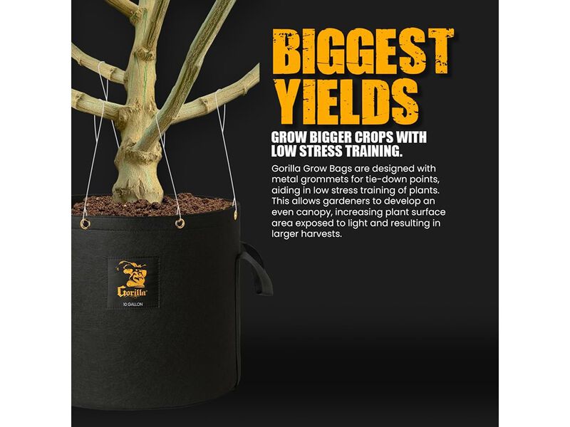 Gorilla Grow Tent 1 Gallon Grow Bags, Toughest Reusable Fabric Pots
