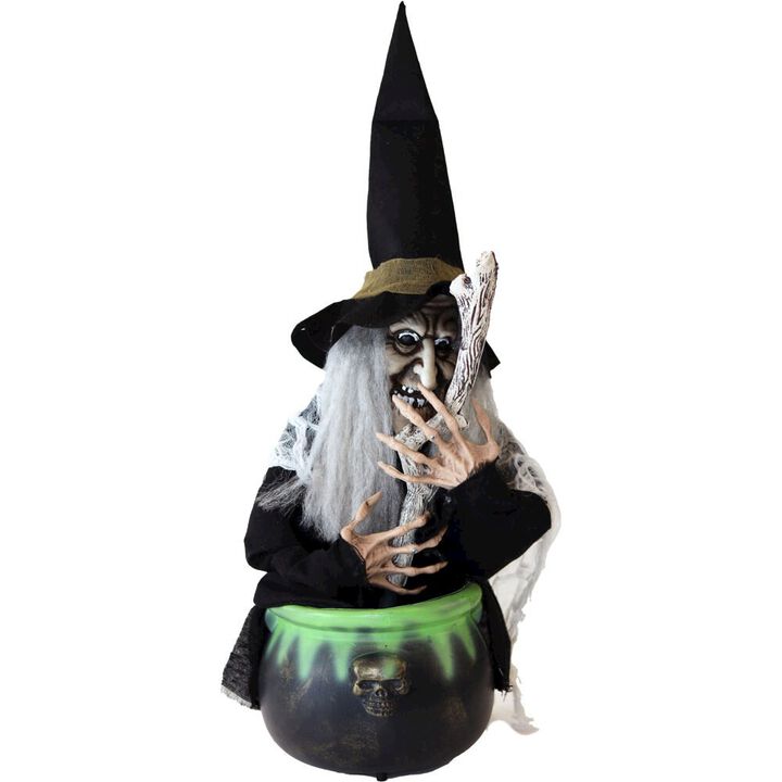 Haunted Hill Farm 19 Animated  Witch and Cauldron