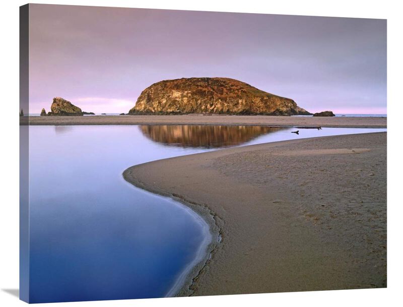 Harris Beach State Park, Oregon-Canvas Art-35x28