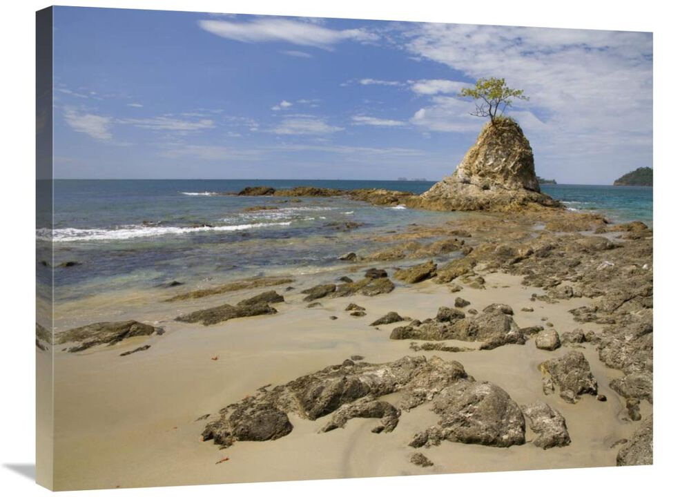 Point with tree on Penca Beach, Costa Rica-Canvas Art-32x24