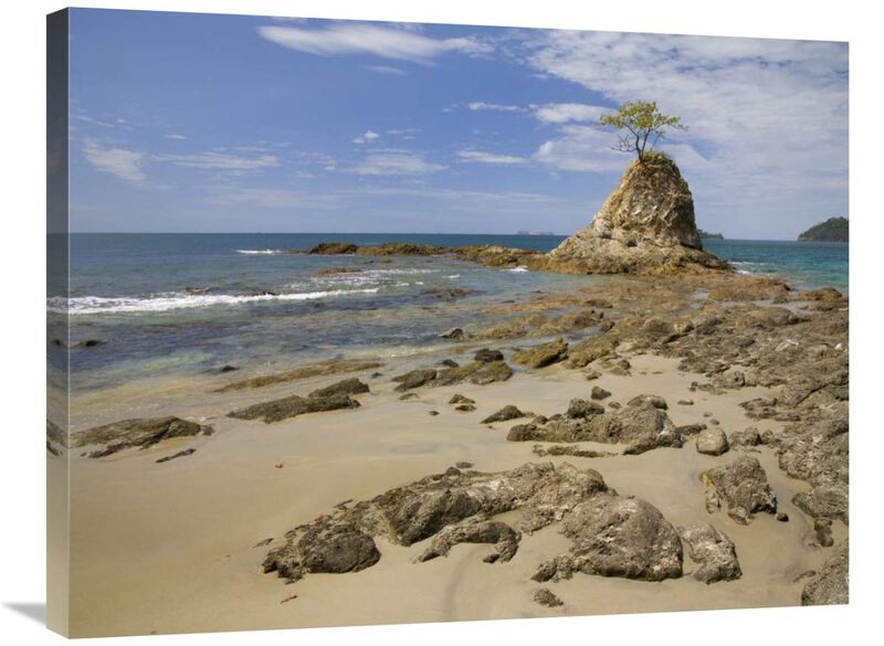 Point with tree on Penca Beach, Costa Rica-Canvas Art-32x24