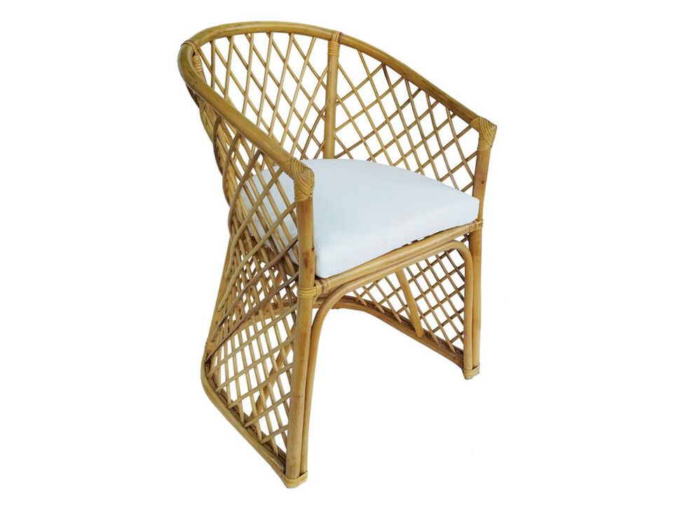 Rattan Palm Chair