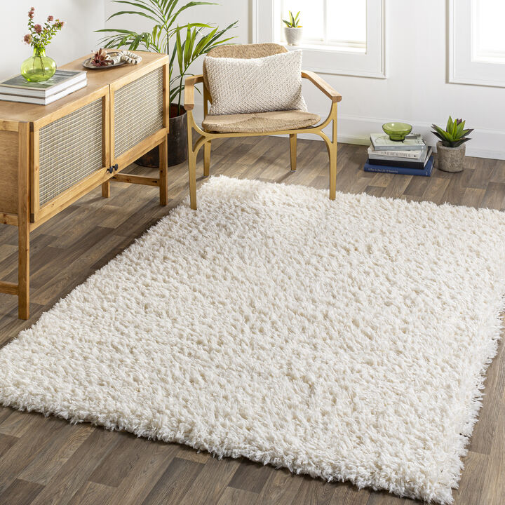 Angora ANG-2301 2'3' x 3'9' Beige Rug