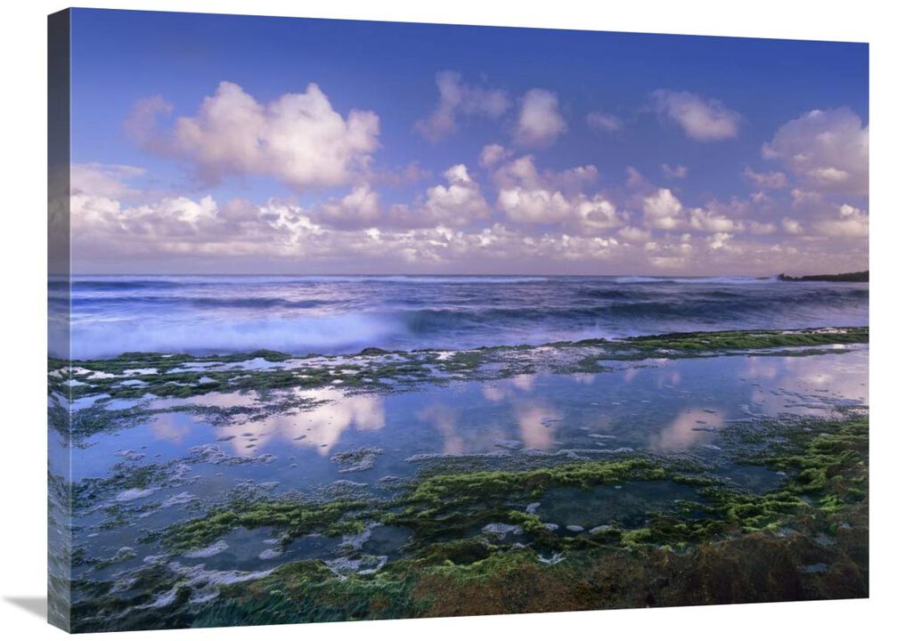 Tidepools and waves at Hookipa Beach, Maui, Hawaii-Canvas Art-32x24