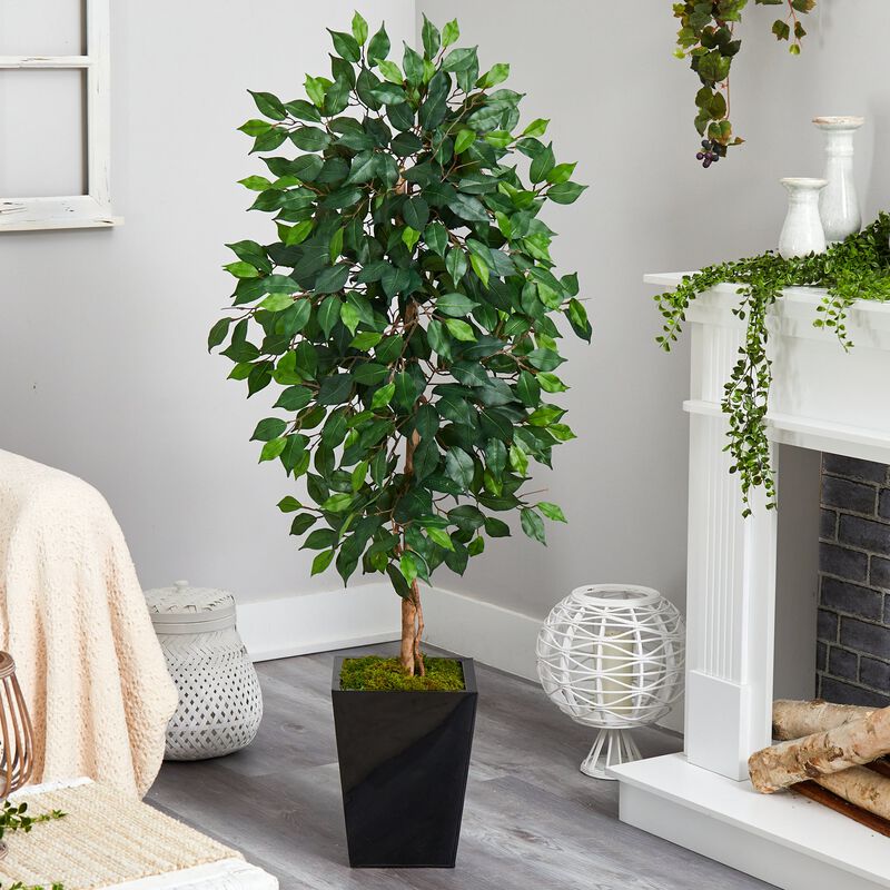 Hivvago 5 Feet Ficus Artificial Tree in Black Metal Planter