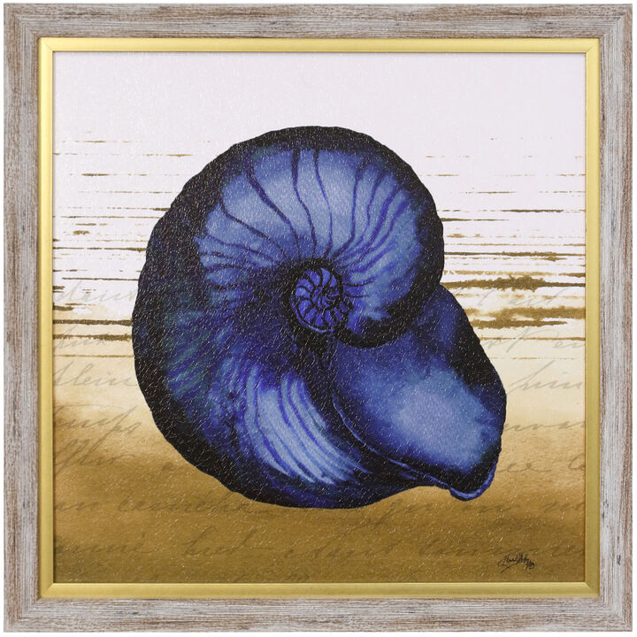 Coastal Blue IV Framed Print