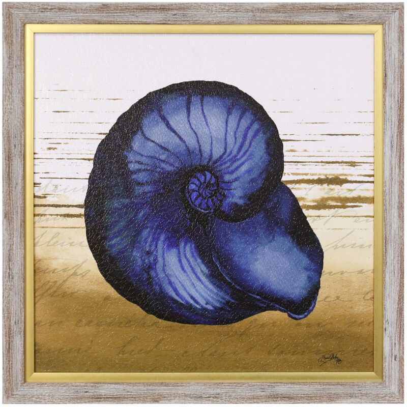 Coastal Blue IV Framed Print