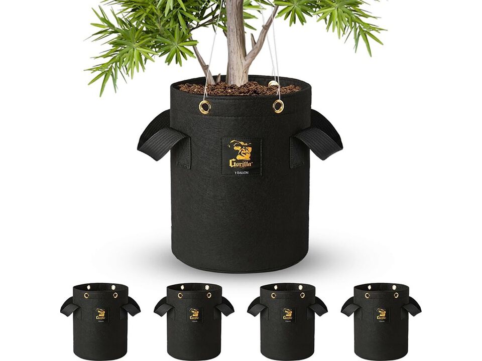 Gorilla Grow Tent 1 Gallon Grow Bags, Toughest Reusable Fabric Pots