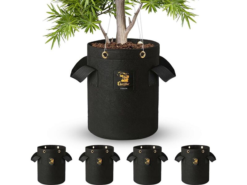 Gorilla Grow Tent 1 Gallon Grow Bags, Toughest Reusable Fabric Pots