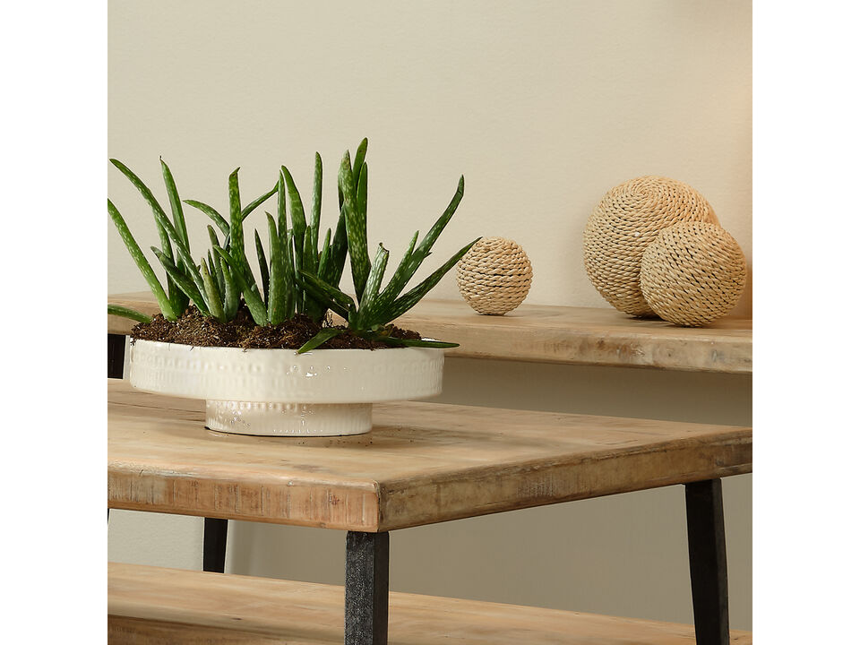 Coco Pedestal