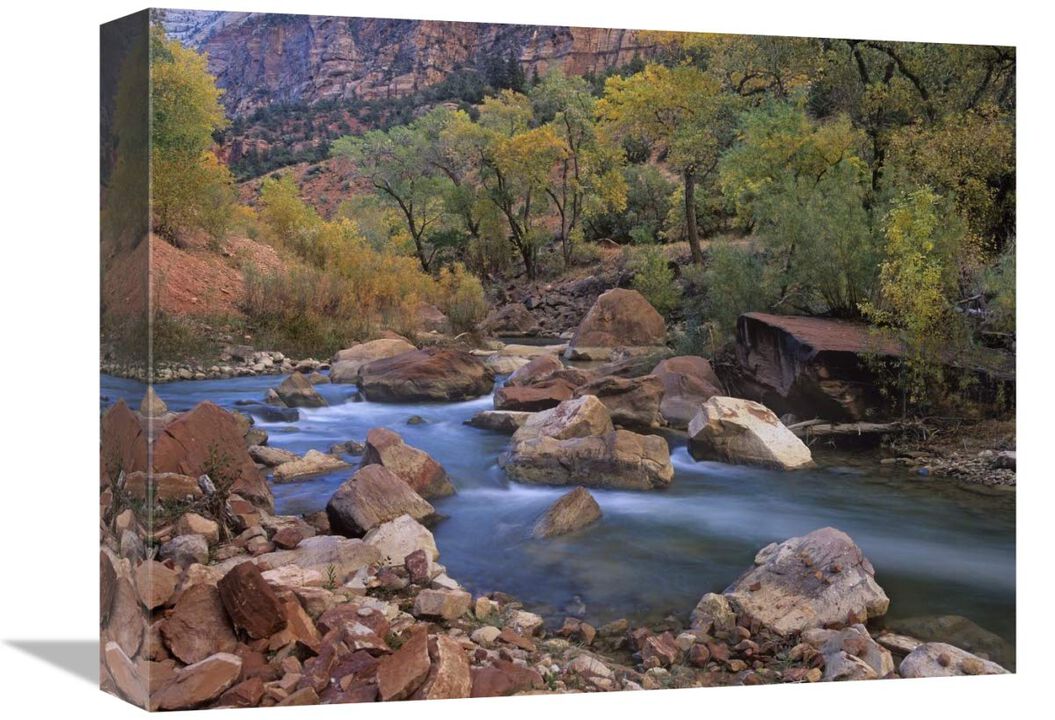 Virgin River flowing through canyon in autumn, Zion National Park, Utah-Canvas Art-16x12