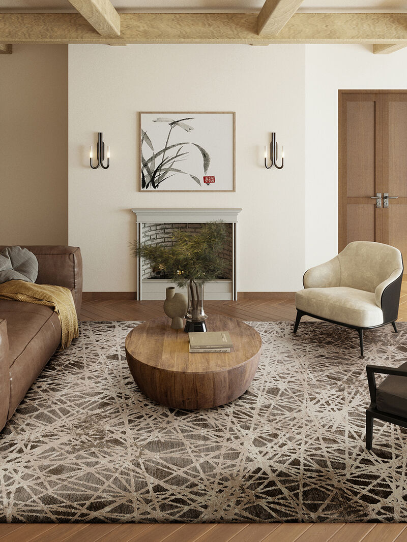 Denizi DZ4 Taupe 3'3" x 5'3" Rug