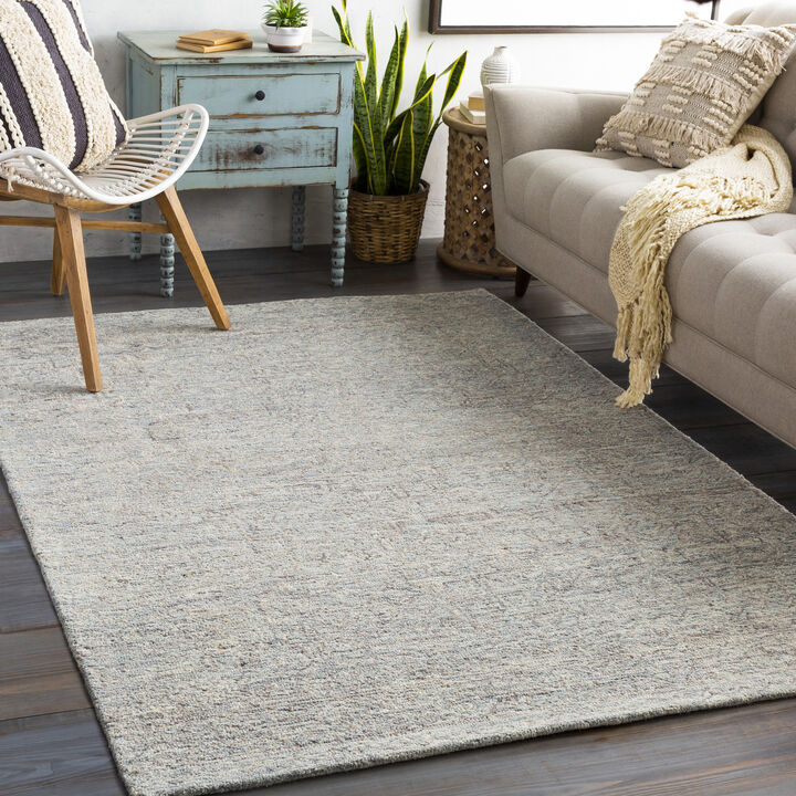 Newcastle NCS-2310 2' x 3' Gray Rug