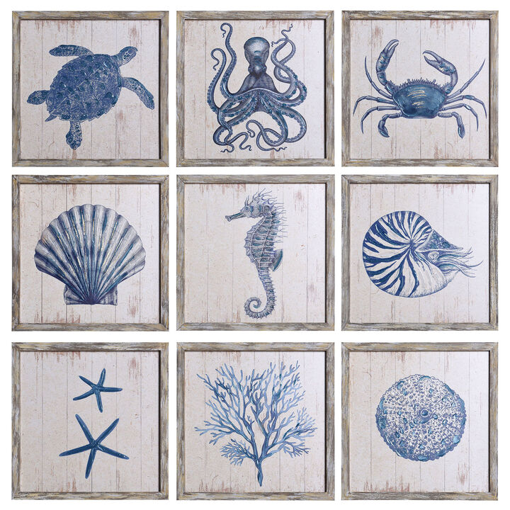 Sea Creatures