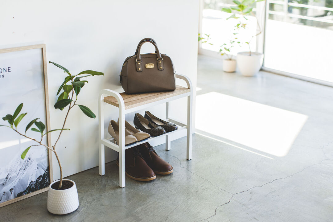 Shoe Organizer