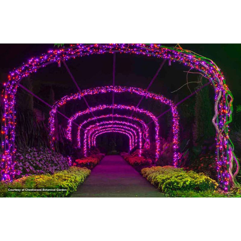 50 Orange Frosted LED Wide Angle Christmas String Lights - 25.17 ft Black Wire