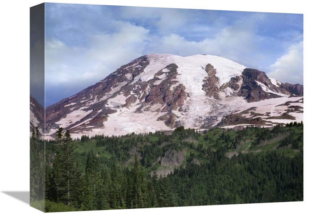 Mount Rainier with coniferous forest, Mount Rainier National Park, Washington-Canvas Art-16x12