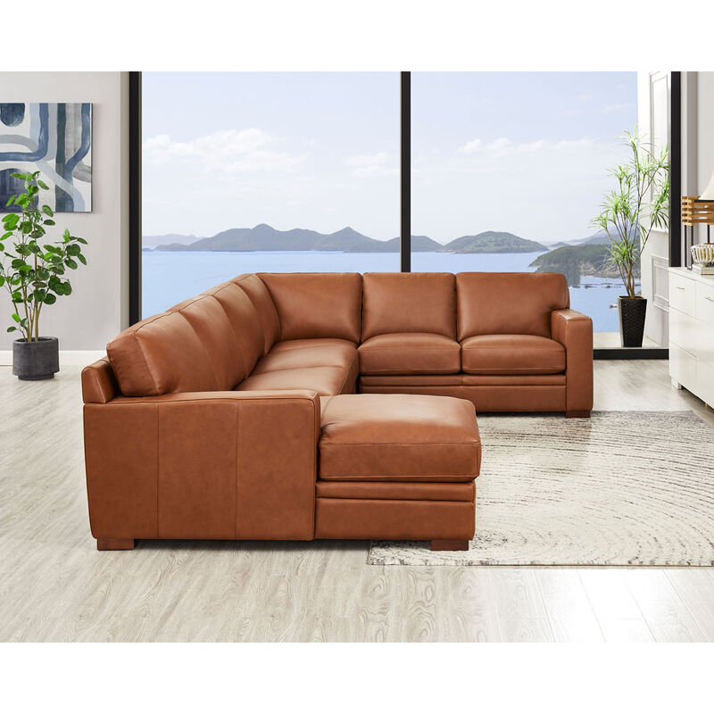 Dillon Top Grain Leather U-Shaped Sectional with Left Chaise