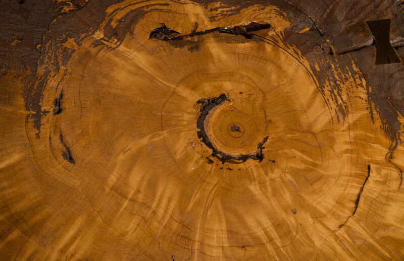 Burled Large Coffee Table