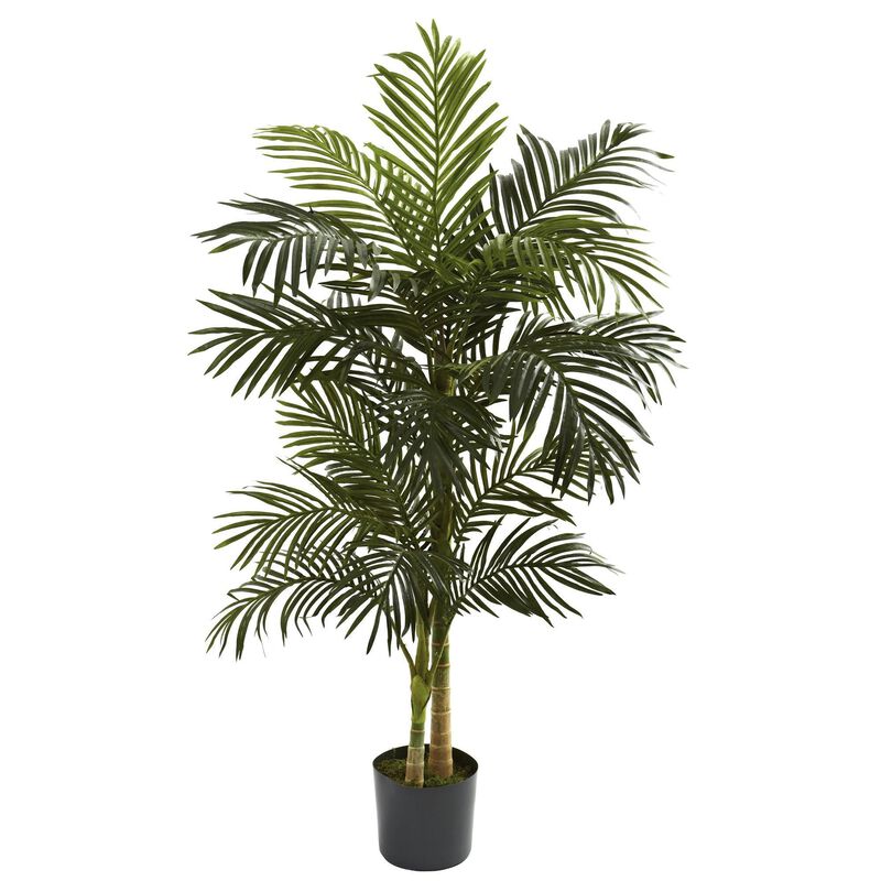 Nearly Natural 5-ft Golden Cane Palm Tree x 2 w/18 Lvs