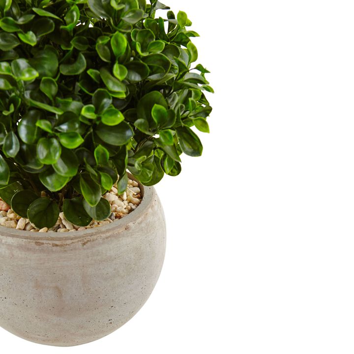 Hivvago 2" Eucalyptus in Sand Colored Bowl UV Resistant (Indoor/Outdoor)