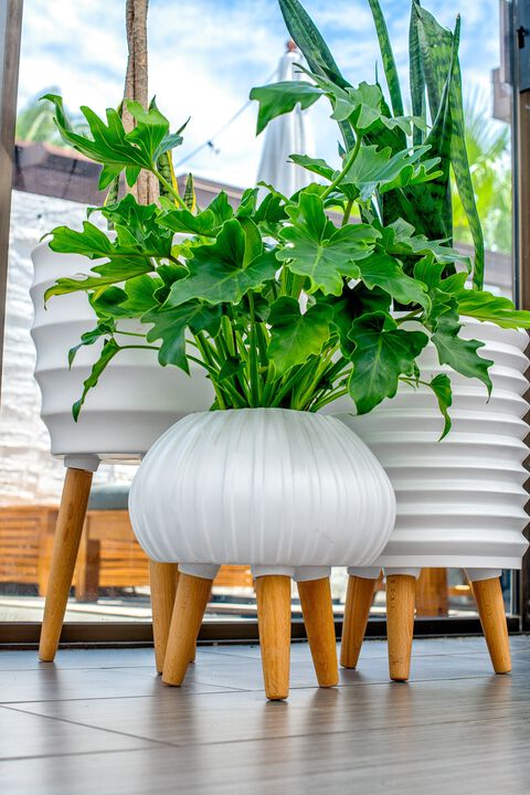 Bloom Ceramic Planter w/beech wood legs-matte white
