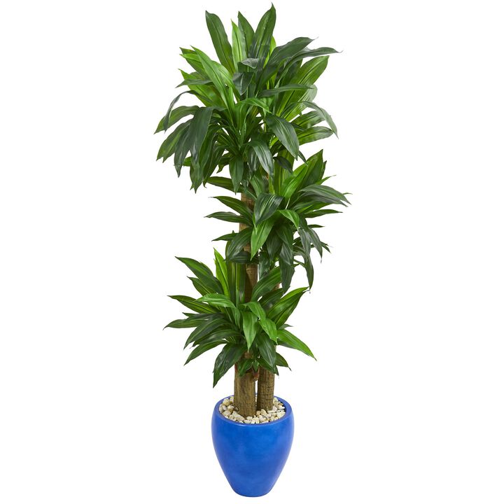 Hivvago 6" Cornstalk Dracaena Artificial Plant in Blue Planter (Real Touch)