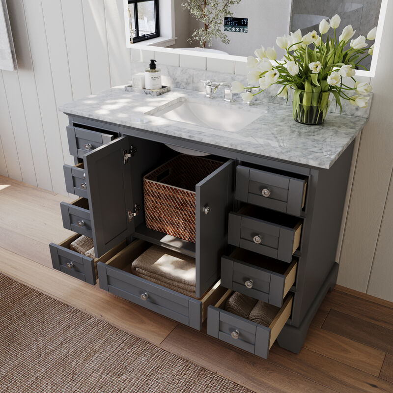 Audrey 48 in. Bath Vanity Set