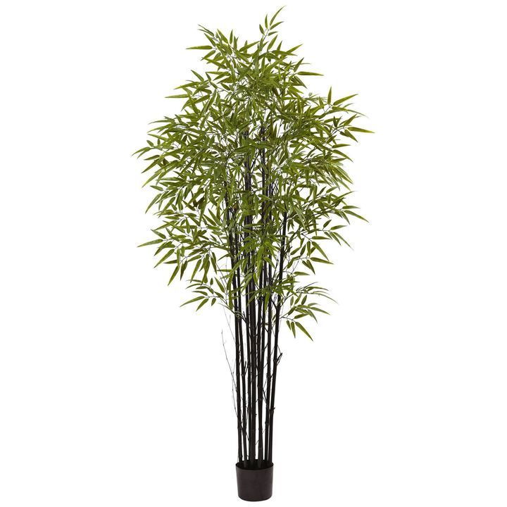Nearly Natural 6-ft Black Bamboo Tree UV Resistant (Indoor/Outdoor)