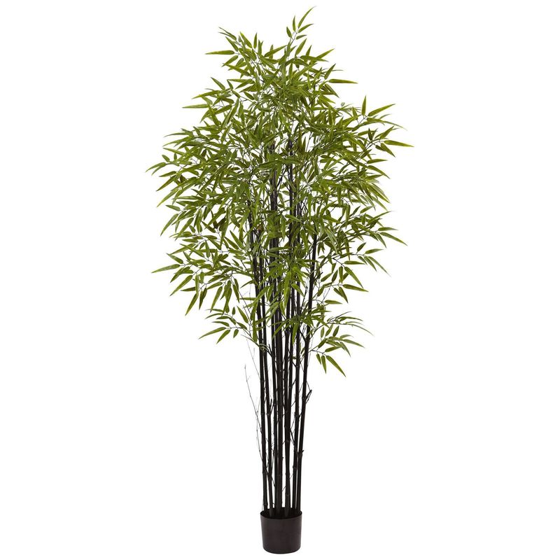 Nearly Natural 6-ft Black Bamboo Tree UV Resistant (Indoor/Outdoor)