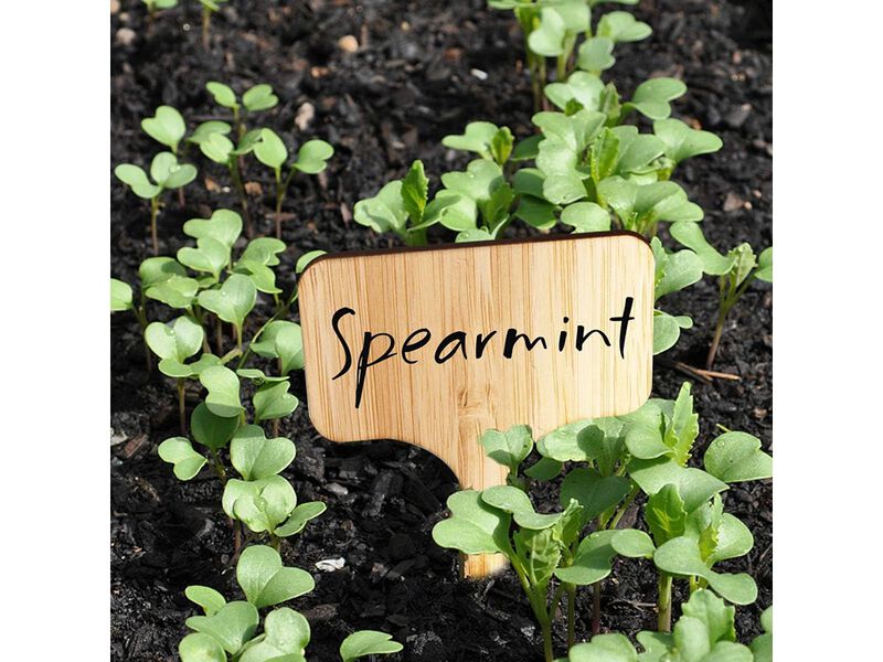 Homenote Bamboo Plant Labels 100Pcs Plant Tags for Seedlings
