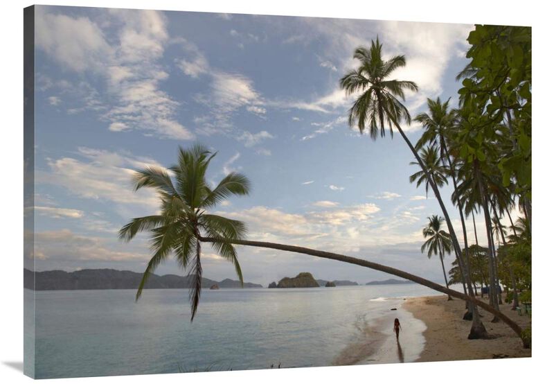 Tourist walking along beach, Tortuga Island, Costa Rica-Canvas Art-40x30