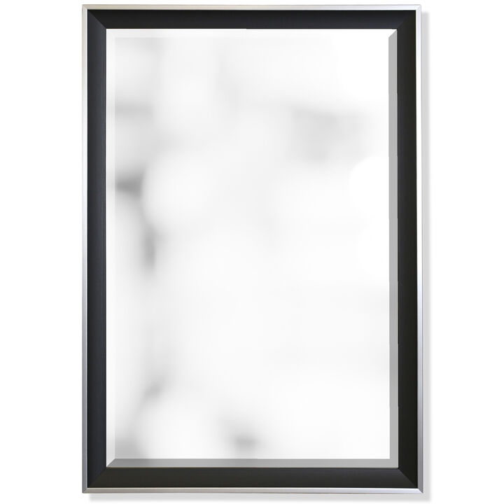 Framed Mirror XIII