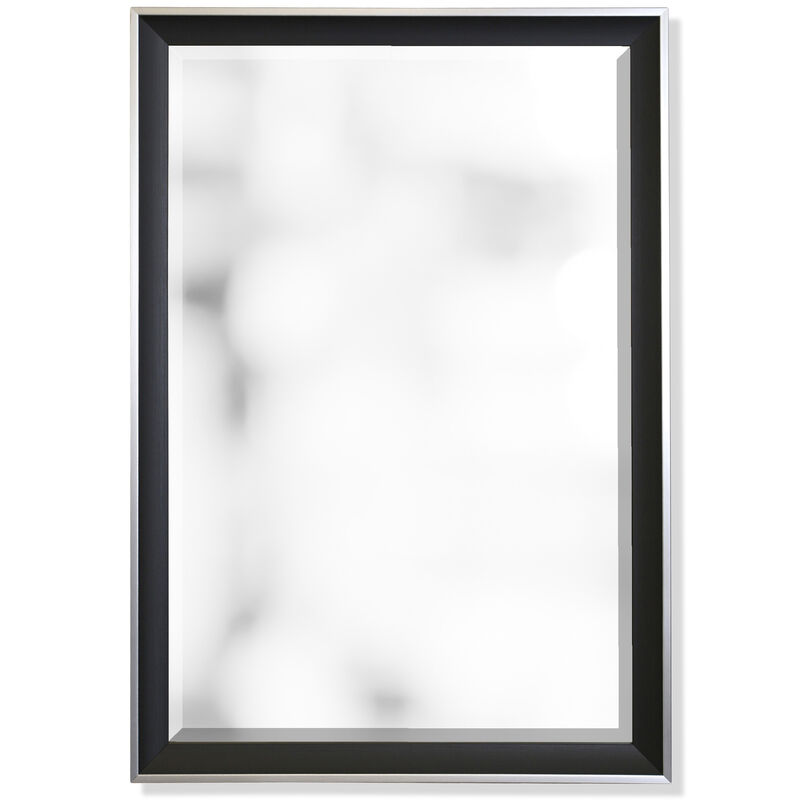 Framed Mirror XIII