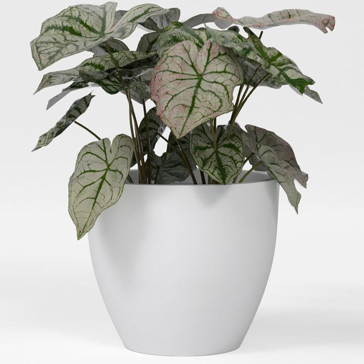 Greenline Fiberglass Lucy Large Indoor/Outdoor Round Planter - 39 in x 39 in x 34 in - Gloss White