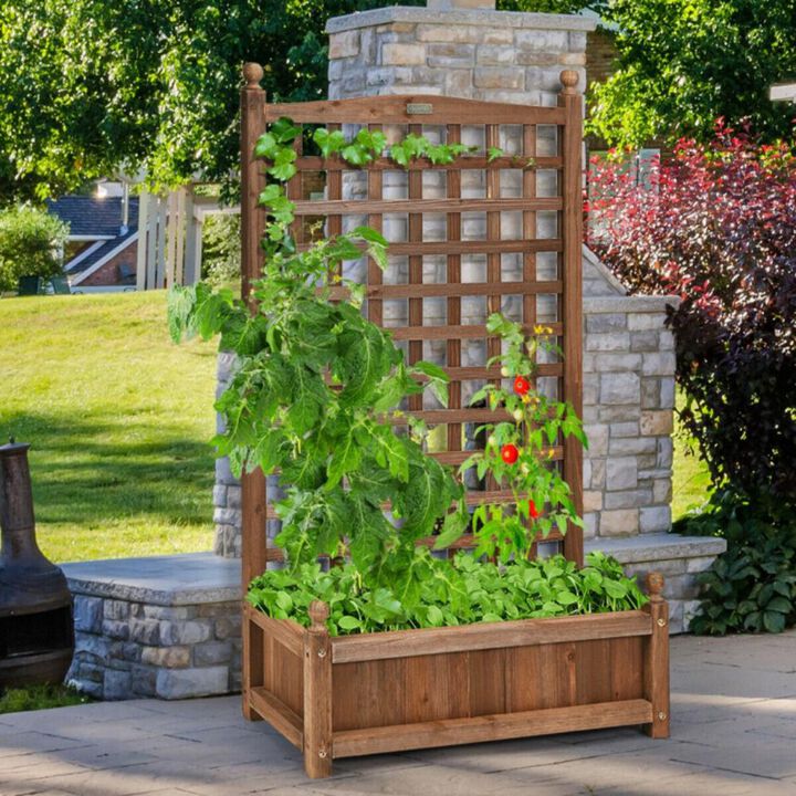 Hivvago Solid Free Standing Wood Planter Box with Trellis for Garden