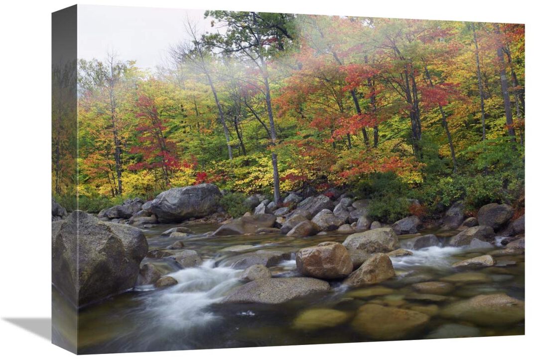 Swift River flowing through fall colored forest, White Mountains National Forest, New Hampshire-Canvas Art-16x12