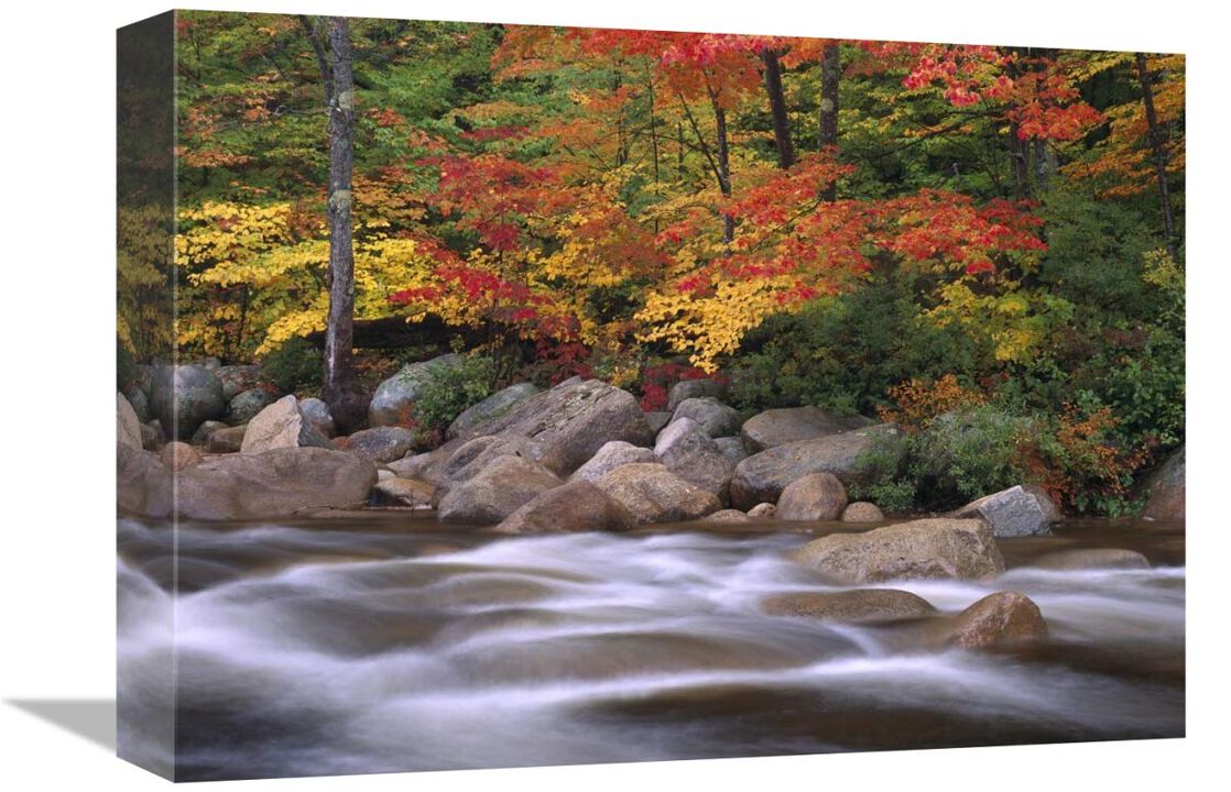 Autumn along Swift River, White Mountains National Forest, New Hampshire-Canvas Art-16x12