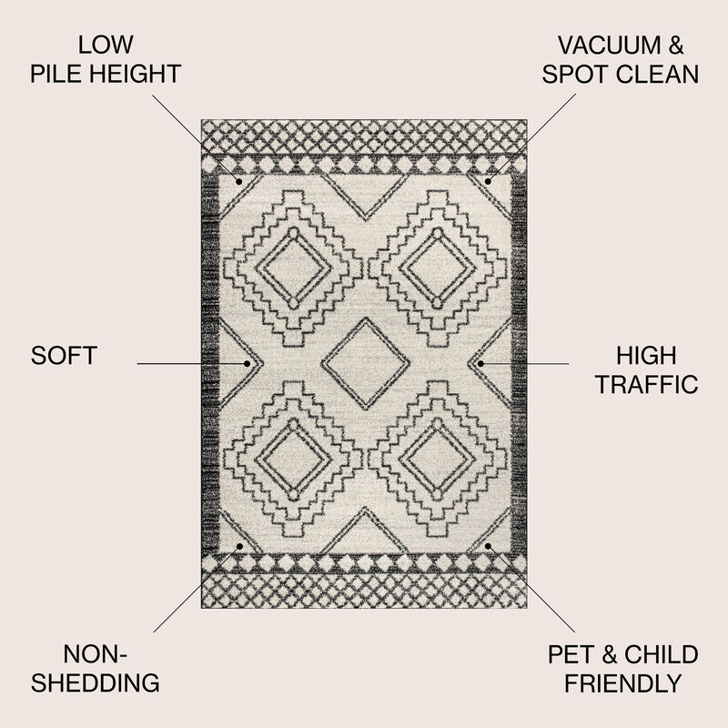 Amir Moroccan Beni Souk Area Rug
