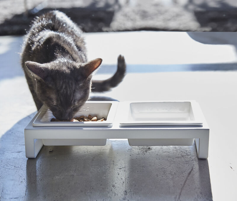 Pet Food Bowl - Two Styles