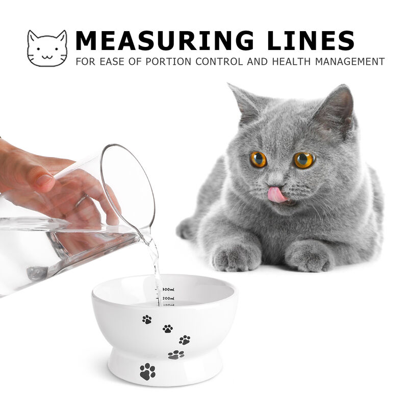 Y YHY Raised Cat Food and Water Bowl Set, Tilted Elevated Cat Food Bowls No Spill, Ceramic Cat Food Feeder Bowl Collection, Pet Bowl for Flat, Set of 2, White
