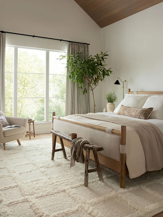 Cassian CAI01 Ivory 4' x 6' Rug