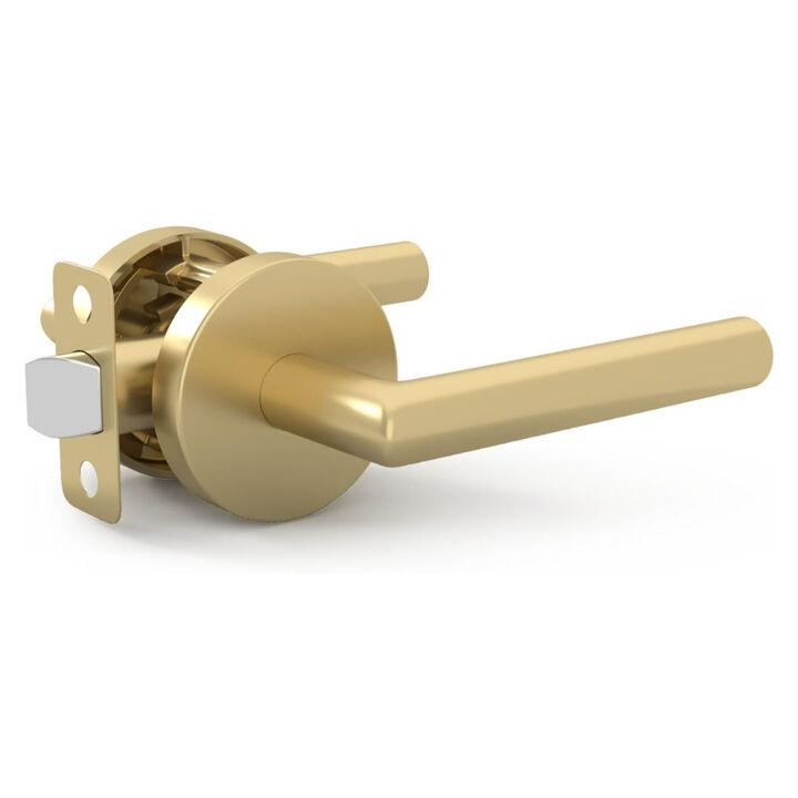 Mega Handles | Ronn Passage Lever