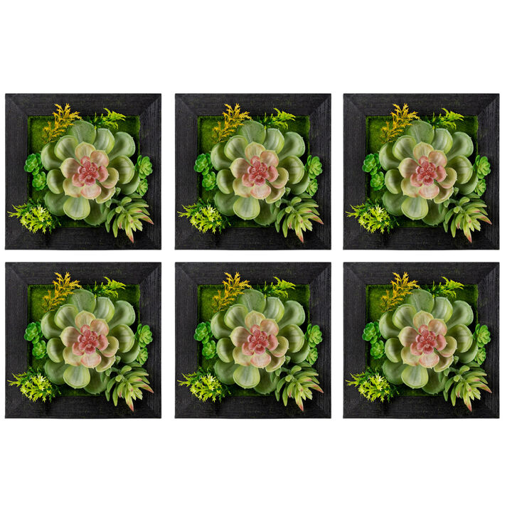 Hanging Succulent Box Wall Décor Set of 6 for Indoor and Outdoor Spaces
