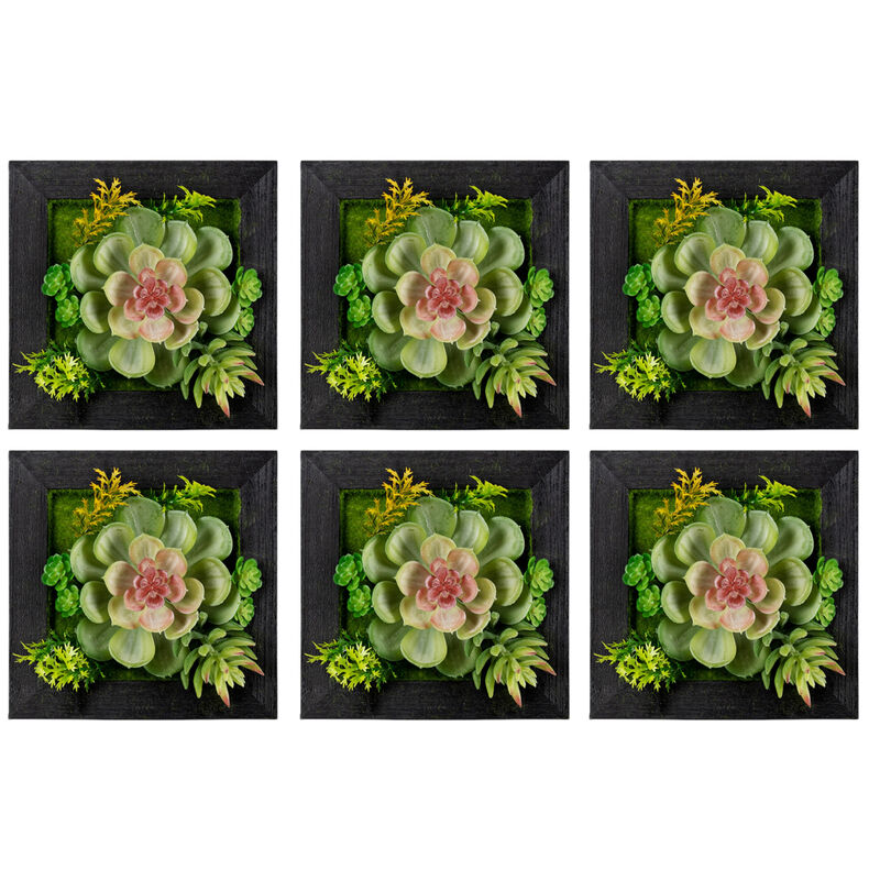 Hanging Succulent Box Wall Décor Set of 6 for Indoor and Outdoor Spaces